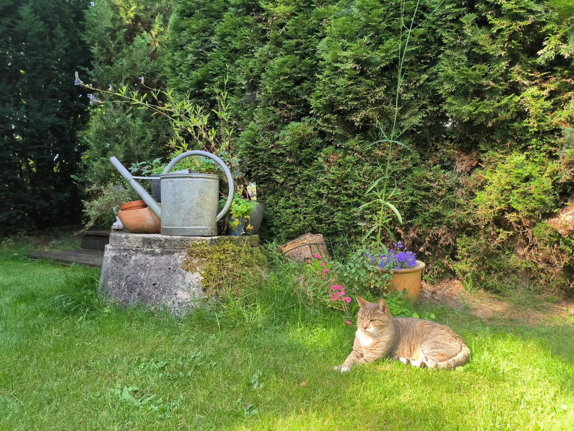 Ferienhaus Inger - Stilvolles Und Modernes Ferienhaus Mit Terrasse Und Gartennutzung Tarp Luaran gambar